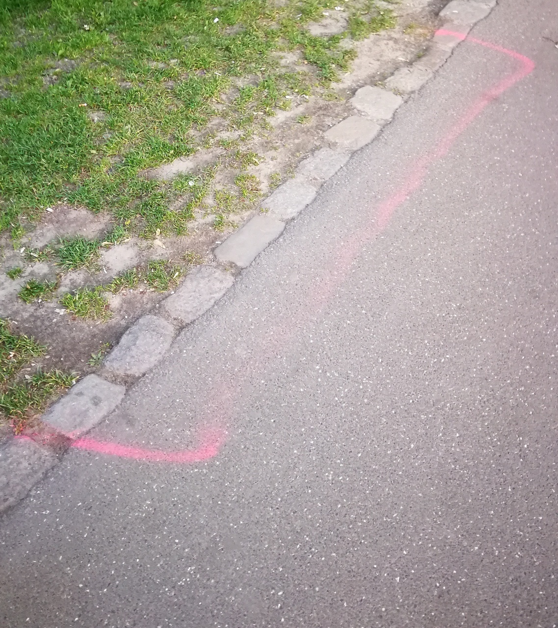 The politics of pink spray on a pathway (Story)
